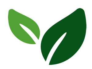 Foglie verdi