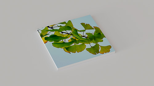 Pannello-controsoffitto-60x60-cm-colori-grafiche-immagini-stampate